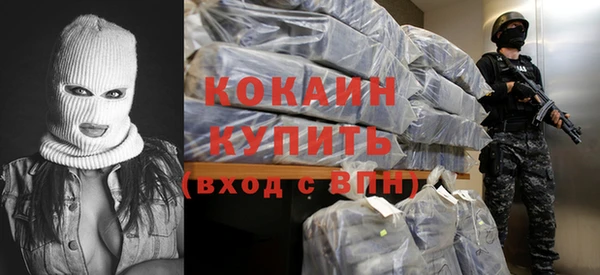 ALPHA PVP Елизово